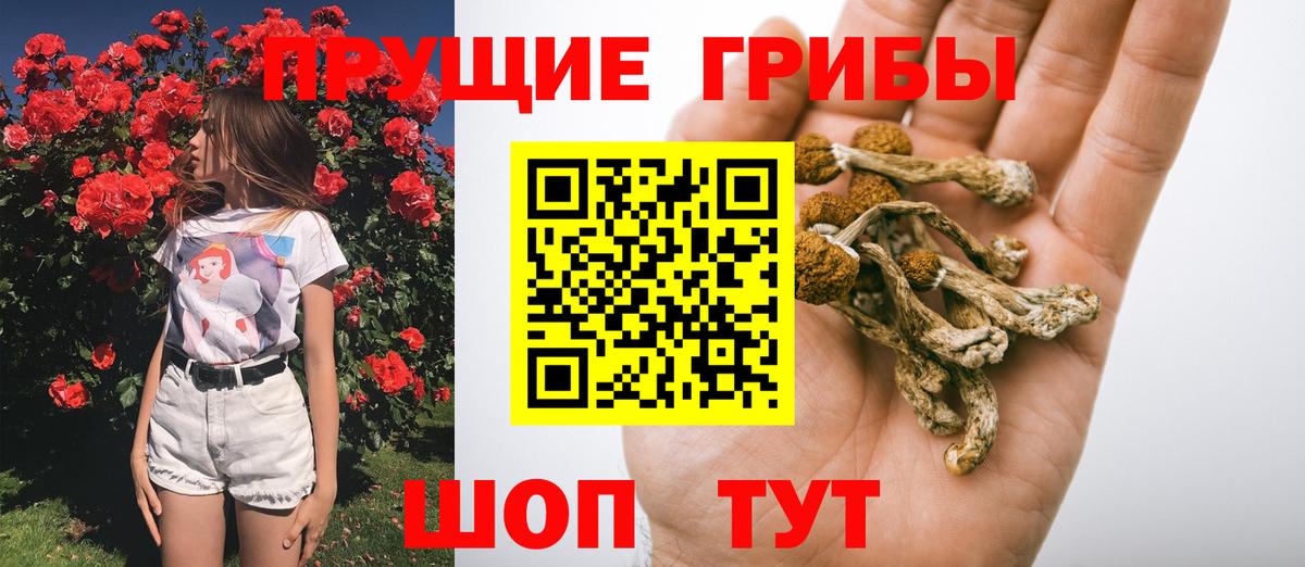 Псилоцибиновые грибы мухоморы Переславль-Залесский