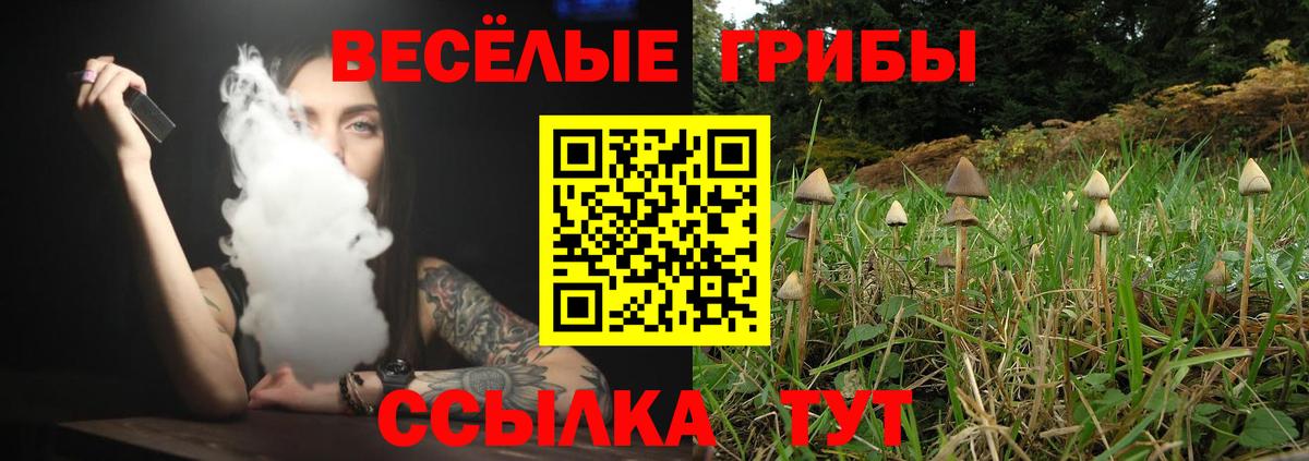 Переславль-Залесский  Галлюциногенные грибы мицелий  Вход с VPN 